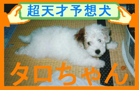 �^�������