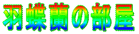 �H�����̕��� 