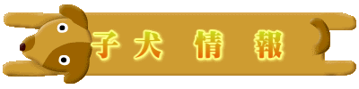  �q ���@��@��