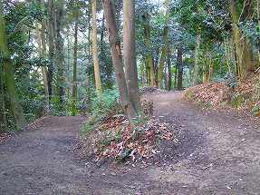 前出健太郎　加佐登神社　遊歩道　Ken-taro Maede  Accessilility Trail Japan