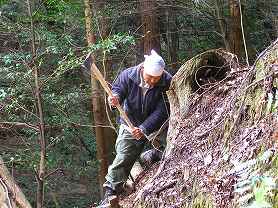 前出健太郎　加佐登神社　遊歩道　Ken-taro Maede  Accessilility Trail Japan