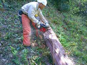 OoY@o_Ё@V@Ken-taro Maede  Accessilility Trail Japan