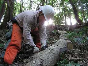 OoY@o_Ё@V@Ken-taro Maede Accessilility Trail Japan