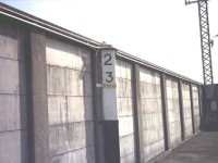 �摜