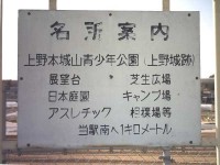 �摜