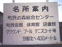 �摜