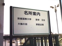 �摜