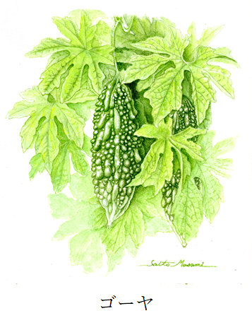 植物画の紹介（一例）