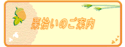 栗拾いのご案内