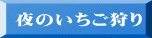 夜のいちご狩り